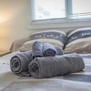 paul-janet.hotels-rhonealpes.com/